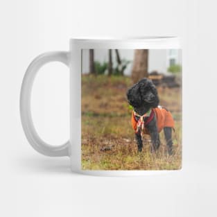 the Poodles of Suburbia Mug